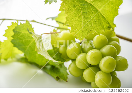 Shine Muscat and leaves 123562902