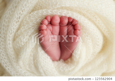 Soft feet of a newborn in a white woolen blanket. Close up of toes, heels and feet of a newborn baby Soft feet of a newborn in a white woolen blanket. Close up of toes, heels and feet of a newborn baby 123562904