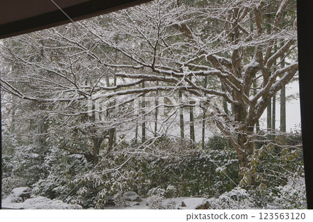 下雪天,去京都的一個花園。 下雪天,去京都的一個花園。 123563120