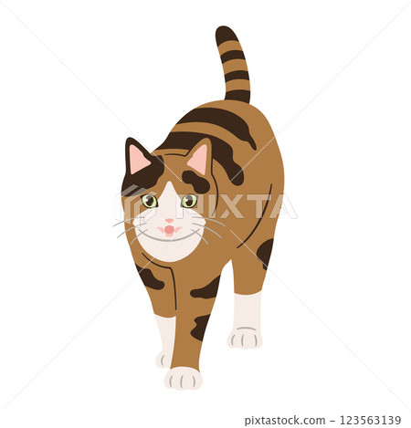 Illustration of a walking calico cat 123563139