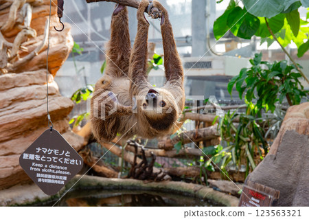 神戶動物王國的封面遊戲 神戶動物王國的封面遊戲 123563321