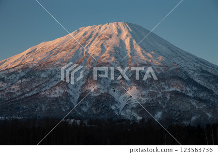 沐浴在夕陽下的羊蹄山 沐浴在夕陽下的羊蹄山 123563736