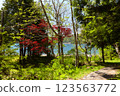 Lake Nakanishi in spring 123563772