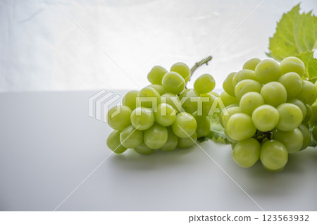 King of Grapes Shine Muscat 123563932