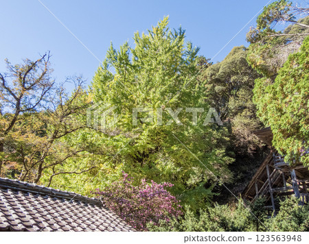 日龍寺高澤觀音寺院內的景色，該寺有一座由北條政子捐贈的寶塔 123563948