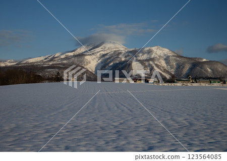 Snow fields and Mt. Annupuri 123564085