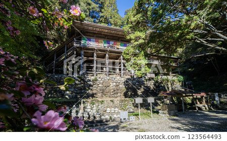 日龍寺高澤觀音寺院內的景色,該寺有一座由北條政子捐贈的寶塔 日龍寺高澤觀音寺院內的景色,該寺有一座由北條政子捐贈的寶塔 123564493