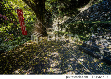 日龍寺高澤觀音寺院內的景色,該寺有一座由北條政子捐贈的寶塔 日龍寺高澤觀音寺院內的景色,該寺有一座由北條政子捐贈的寶塔 123564494