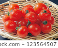 Fresh Mini Tomato 123564507