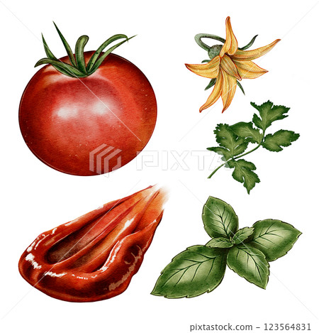 Set of Tomato sauce with tomatoes and herbs Set of Tomato sauce with tomatoes and herbs 123564831
