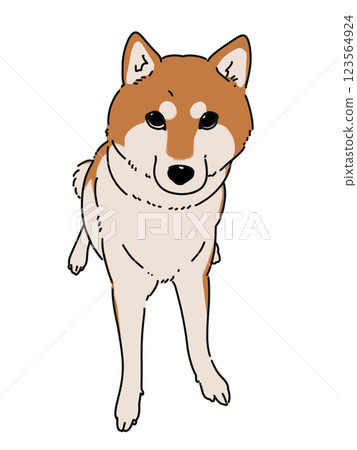 坐狗 坐狗 123564924