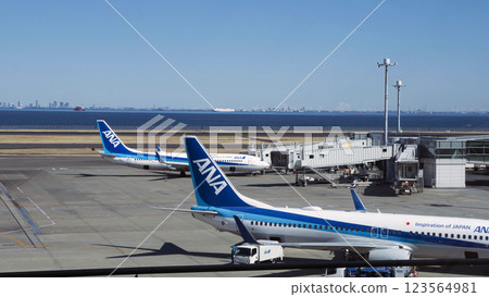 ANA planes lined up under a blue sky: a beautiful scene at Haneda Airport 123564981