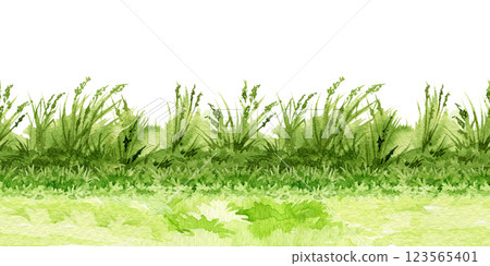 Fresh green grass seamless border element watercolor illustration. Fresh grass countryside landscape element on white background. Lush meadow herbs, natural plants, grass floral illustration Fresh green grass seamless border element watercolor illustration. Fresh grass countryside landscape element on white background. Lush meadow herbs, natural plants, grass floral illustration 123565401