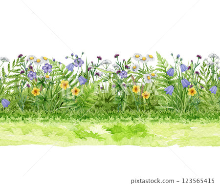 Spring season wild flowers, green lush grass seamless border decor watercolor illustration. Hand drawn chamomile, bluebell, fern leaves, blooming summer flowers elegant decoration on white background 123565415