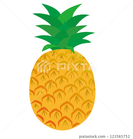 成熟的鳳梨向量圖示插畫 成熟的鳳梨向量圖示插畫 123565752