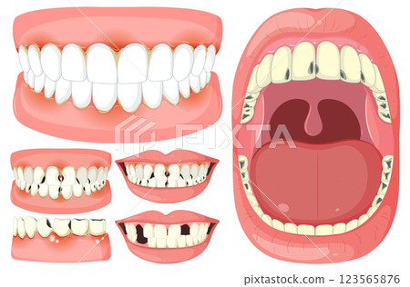 Dental Health and Oral Care Illustration Dental Health and Oral Care Illustration 123565876
