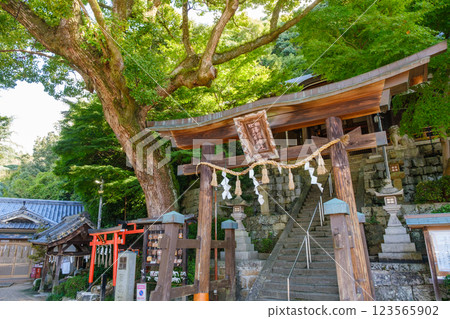 The grounds of the shrine covered in fresh greenery - Takuhikotakuhime Shrine 123565902