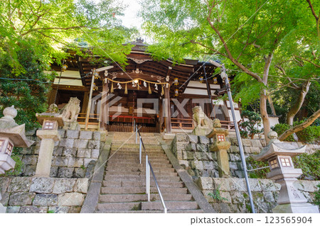 神社內綠意盎然 - 卓彥卓姬神社 神社內綠意盎然 - 卓彥卓姬神社 123565904