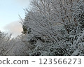 Snowy mountain hiking 123566273