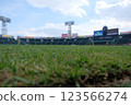 Low angle view of the stadium 123566274