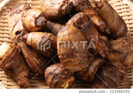 Taro taro 123566293