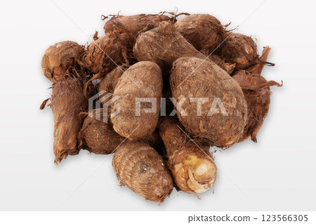 Taro taro 123566305