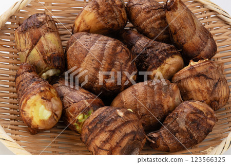 Taro taro Taro taro 123566325