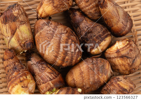 Taro taro Taro taro 123566327