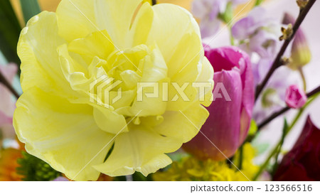 A spring bouquet with striking yellow tulips - a contrast of colorful flowers 123566516