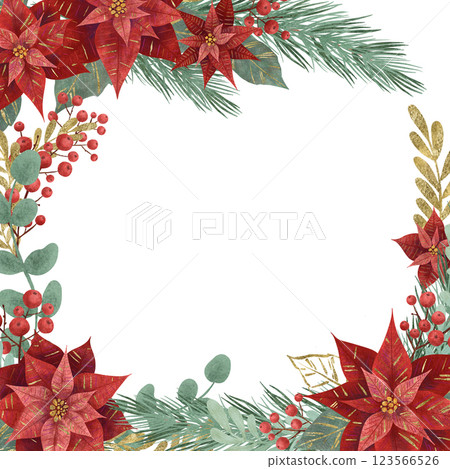 Composition frame with Christmas flower red poinsettia, fir branches, vegetation, berries isolated 123566526
