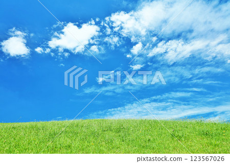 Autumn blue sky and beautiful grassland scenery 123567026