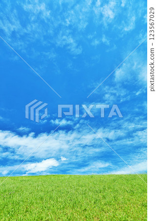 秋天的藍天和美麗的草原風光 123567029