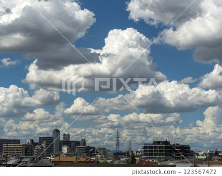 盛夏的大阪城市景觀 123567472