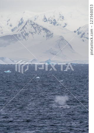 Landscape of the Antarctic Peninsula 123568053