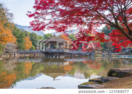 [紅葉] 秋季的奈良公園浮見堂 123568077