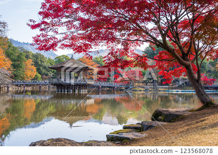 [紅葉] 秋季的奈良公園浮見堂 123568078