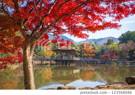 [Autumn leaves] Ukimido Hall in Nara Park in autumn 123568086