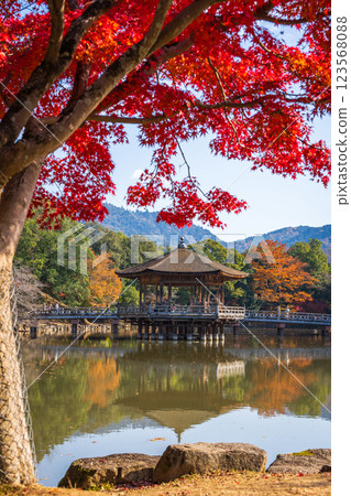 [Autumn leaves] Ukimido Hall in Nara Park in autumn 123568088