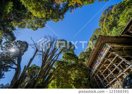 日龍寺高澤觀音寺院內的景色,該寺有一座由北條政子捐贈的寶塔 日龍寺高澤觀音寺院內的景色,該寺有一座由北條政子捐贈的寶塔 123568391