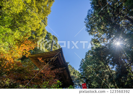 日龍法寺高澤觀音寺院內景觀。 日龍法寺高澤觀音寺院內景觀。 123568392