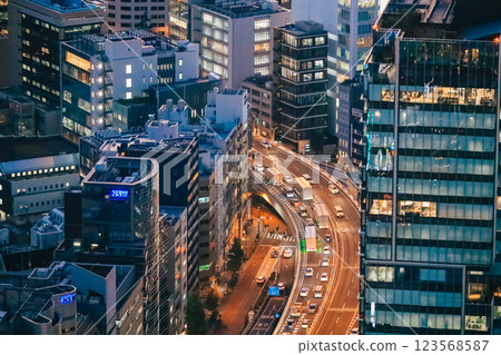 Night View of Tokyo City with Illuminated Buildings and Skyline Tokyo Dec 4 2024 Night View of Tokyo City with Illuminated Buildings and Skyline Tokyo Dec 4 2024 123568587