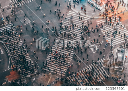 Vibrant Urban Nightlife Scene in a Bustling City, Tokyo Dec 4 2024 123568601