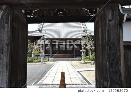 Spring stroll around Hashima・9 Spring stroll around Hashima・9 123568670