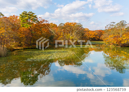 北海道的秋天:大沼公園的紅葉 北海道的秋天:大沼公園的紅葉 123568739