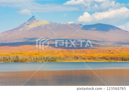 北海道的秋天,北海道駒嶽大沼公園的紅葉 北海道的秋天,北海道駒嶽大沼公園的紅葉 123568765