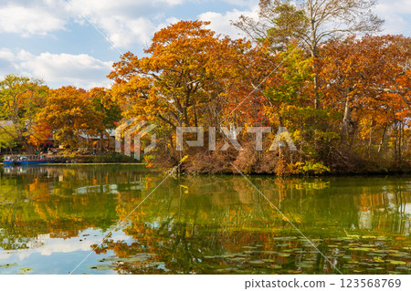 Autumn in Hokkaido: Autumn leaves at Onuma Park 123568769