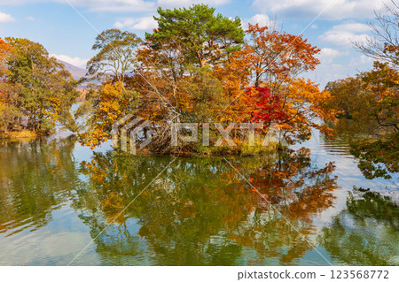 北海道的秋天:大沼公園的紅葉 北海道的秋天:大沼公園的紅葉 123568772