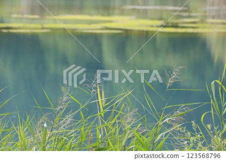 五色沼的秋景 五色沼的秋景 123568796