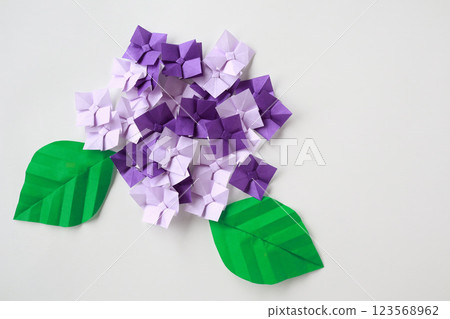 Origami Hydrangea 123568962
