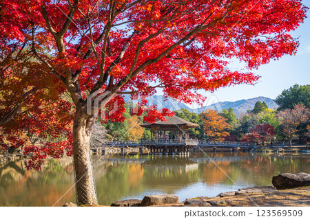 [Autumn leaves] Ukimido Hall in Nara Park in autumn 123569509